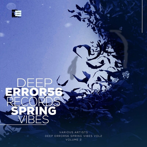 VA - Deep Error56 Records Spring Vibes Vol2 [DER064]